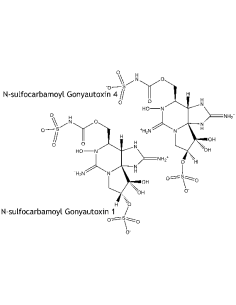 N-sulfocarbamoyl...