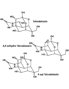Tetrodotoxin, 4,9-anhydro...