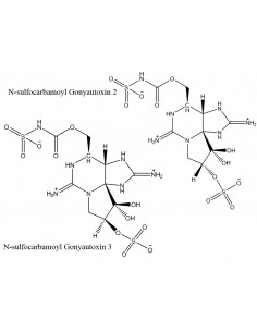 N-sulfocarbamoyl...