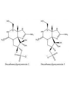 Decarbamoylgonyautoxins 2 & 3